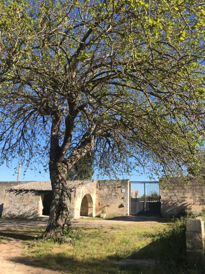 Villa Masseria Pesanei à Galugnano Extérieur photo